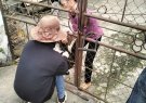 UBND xã Xuân Trường tổ chức tiêm phòng vacxin cho đàn gia súc, gia cầm và phòng dại đợt 1 năm 2025.