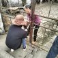 UBND xã Xuân Trường tổ chức tiêm phòng vacxin cho đàn gia súc, gia cầm và phòng dại đợt 1 năm 2025.